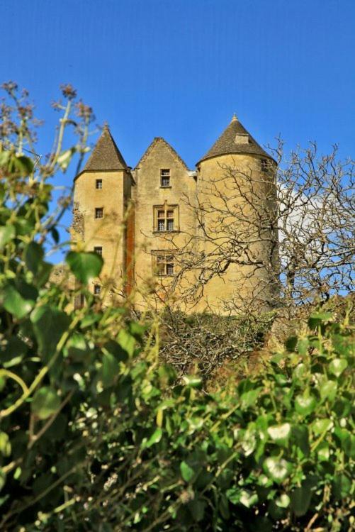 Petite Maison En Pierre Au Coeur Du Perigord Noir Salignac Eyvigues Экстерьер фото