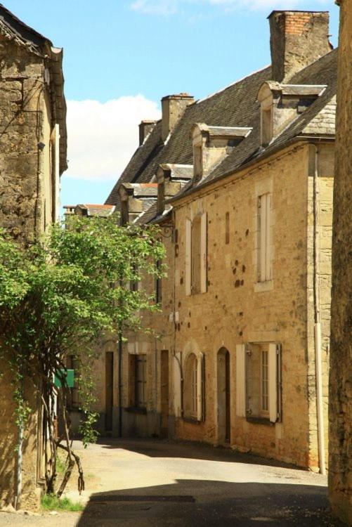 Petite Maison En Pierre Au Coeur Du Perigord Noir Salignac Eyvigues Экстерьер фото